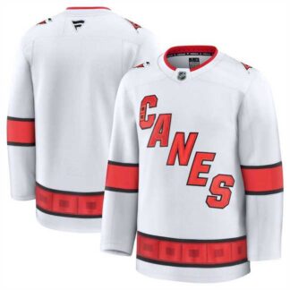Men's Carolina Hurricanes Blank White 2024-25 Away Stitched Hockey Jersey Dzhi