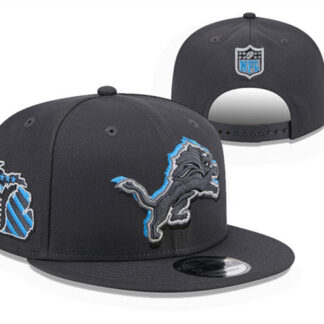 Detroit Lions Stitched Snapback Hats 043
