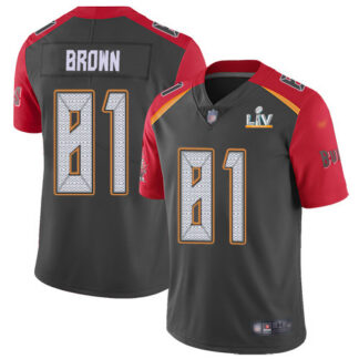 Nike Tampa Bay Buccaneers #81 Antonio Brown Gray Men’s Super Bowl LV Bound Stitched NFL Limited Inverted Legend Jersey